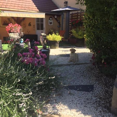 Le Jardin De Theleme "Charme Discret Pour Un Nid Douillet" Villa Mazille Eksteriør billede