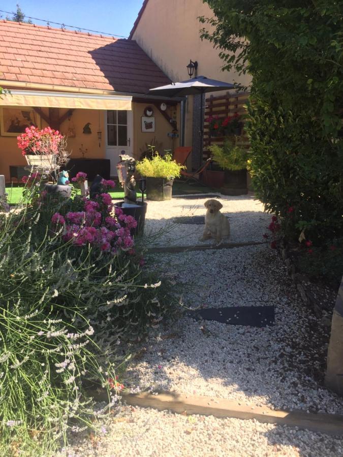 Le Jardin De Theleme "Charme Discret Pour Un Nid Douillet" Villa Mazille Eksteriør billede