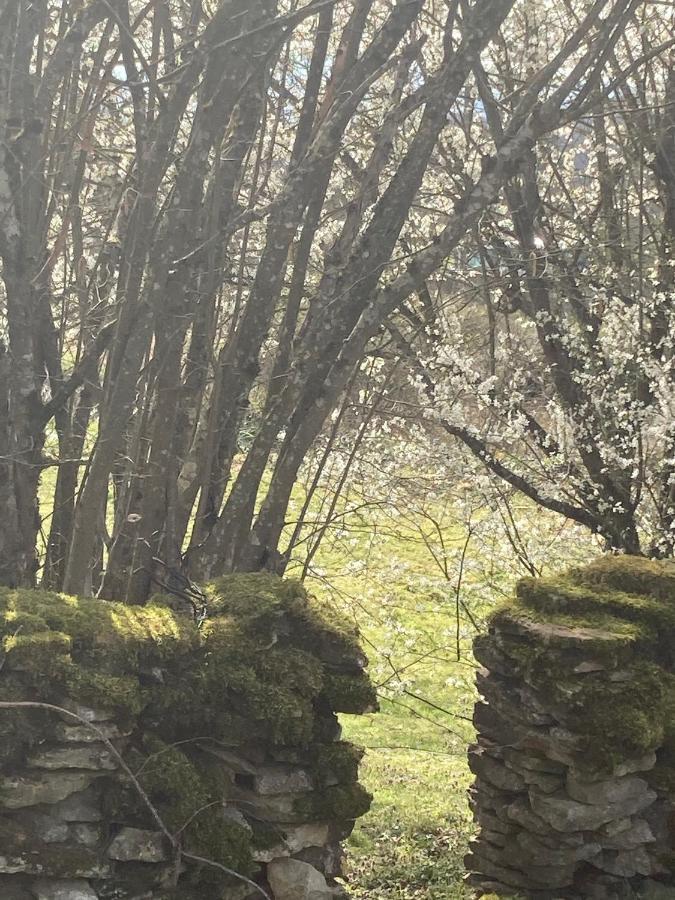 Le Jardin De Theleme "Charme Discret Pour Un Nid Douillet" Villa Mazille Eksteriør billede